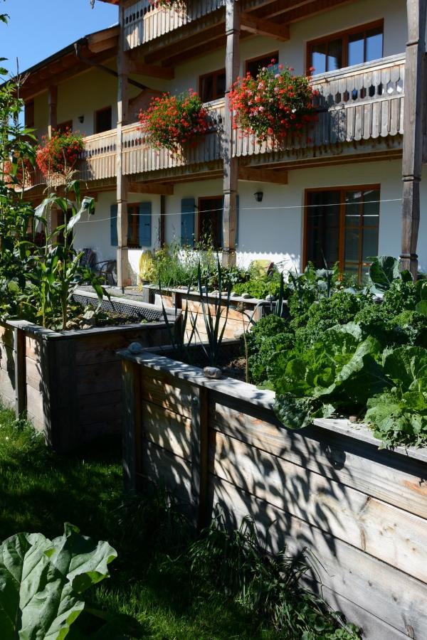 Gaestehaus Wild-Schuetz Schwangau Ngoại thất bức ảnh