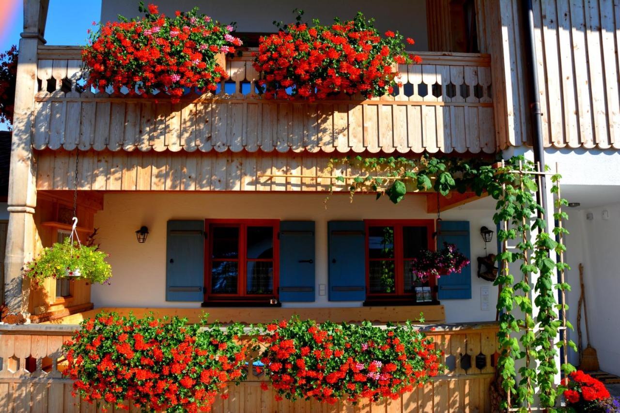 Gaestehaus Wild-Schuetz Schwangau Ngoại thất bức ảnh